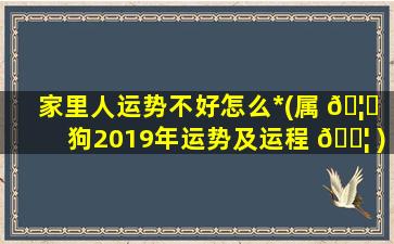 家里人运势不好怎么*
(属 🦟 狗2019年运势及运程 🐦 )